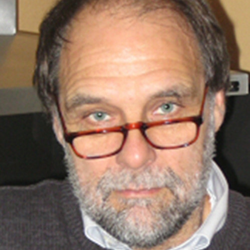 Dik van de Meent