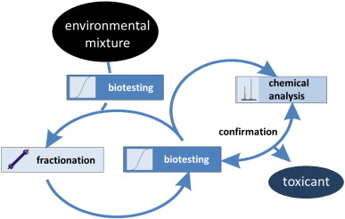 effect-directed analysis