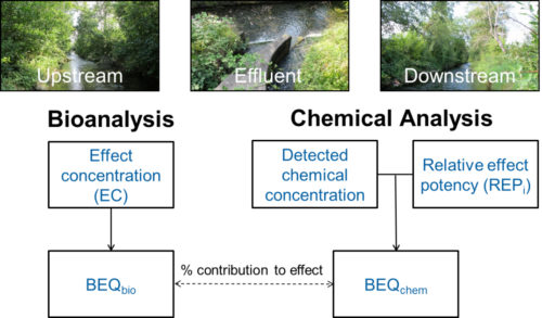 Combining Chemical & Biological Analyses